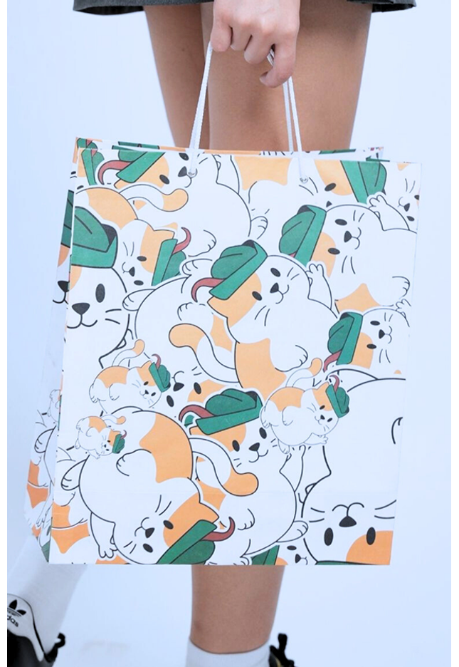 La Salle Cat Paper Bag
