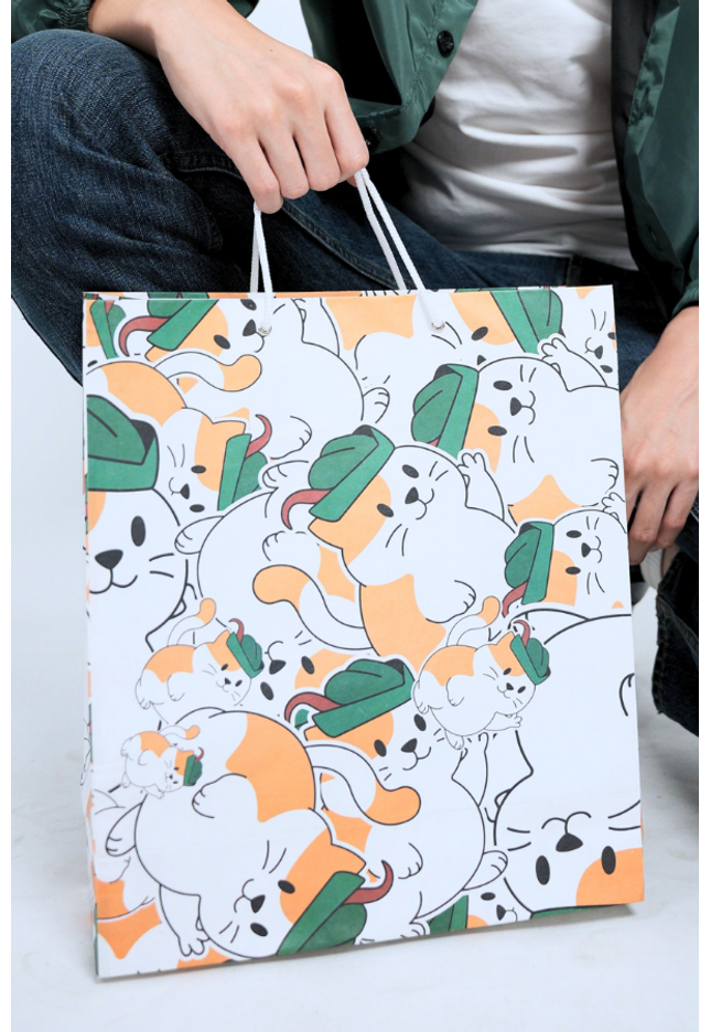 La Salle Cat Paper Bag