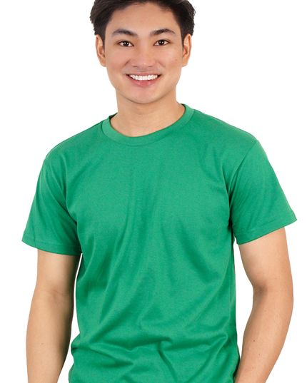 shirt-tees-tee-tshirt-plain-regular fit-normal fit-no design-green